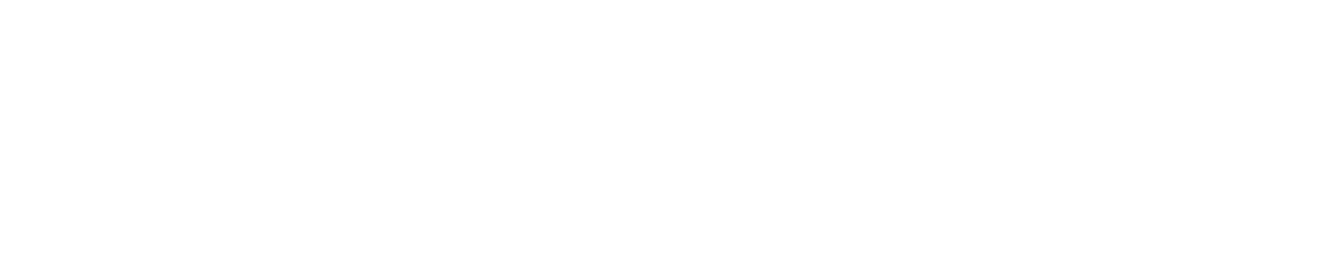 logo VL Projects